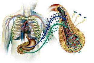 Pancreas in the form of Mellitus